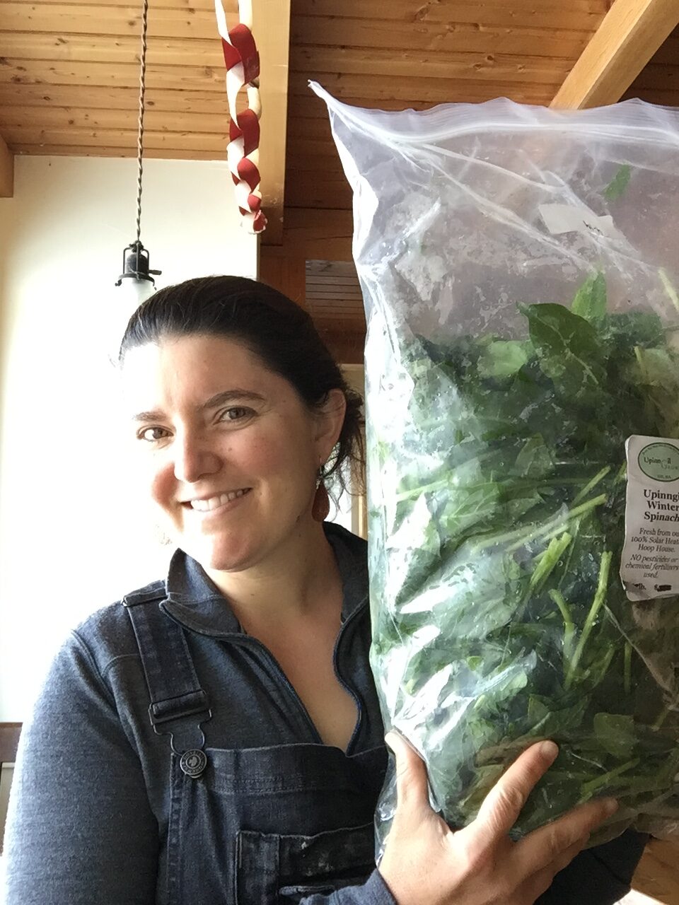Some salad thoughts for Earth Day 2021