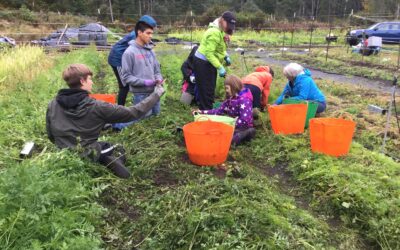 New Year’s Greetings and Gratitude