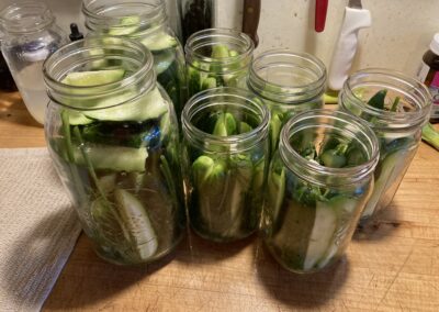 Easy Refrigerator Dill Pickles!